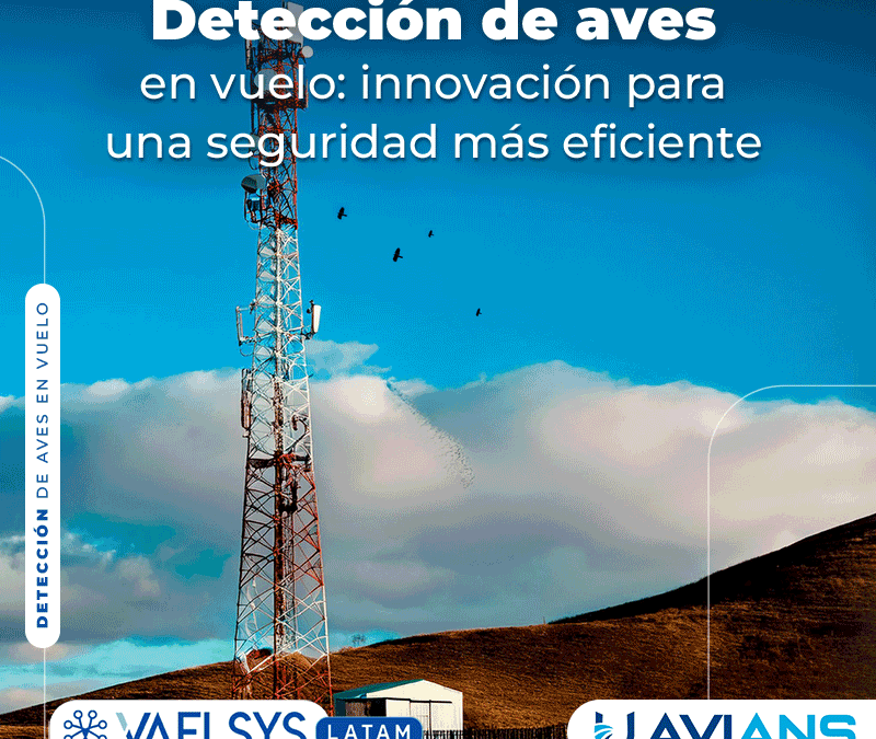 Detección de aves en vuelo: Innovación para una seguridad más eficiente